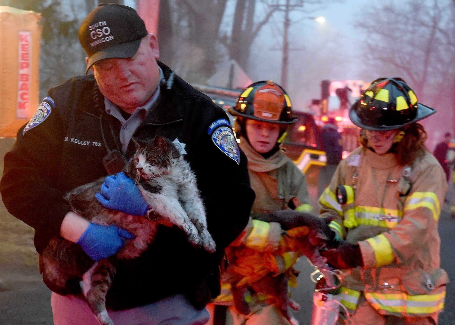 20190108FirePets