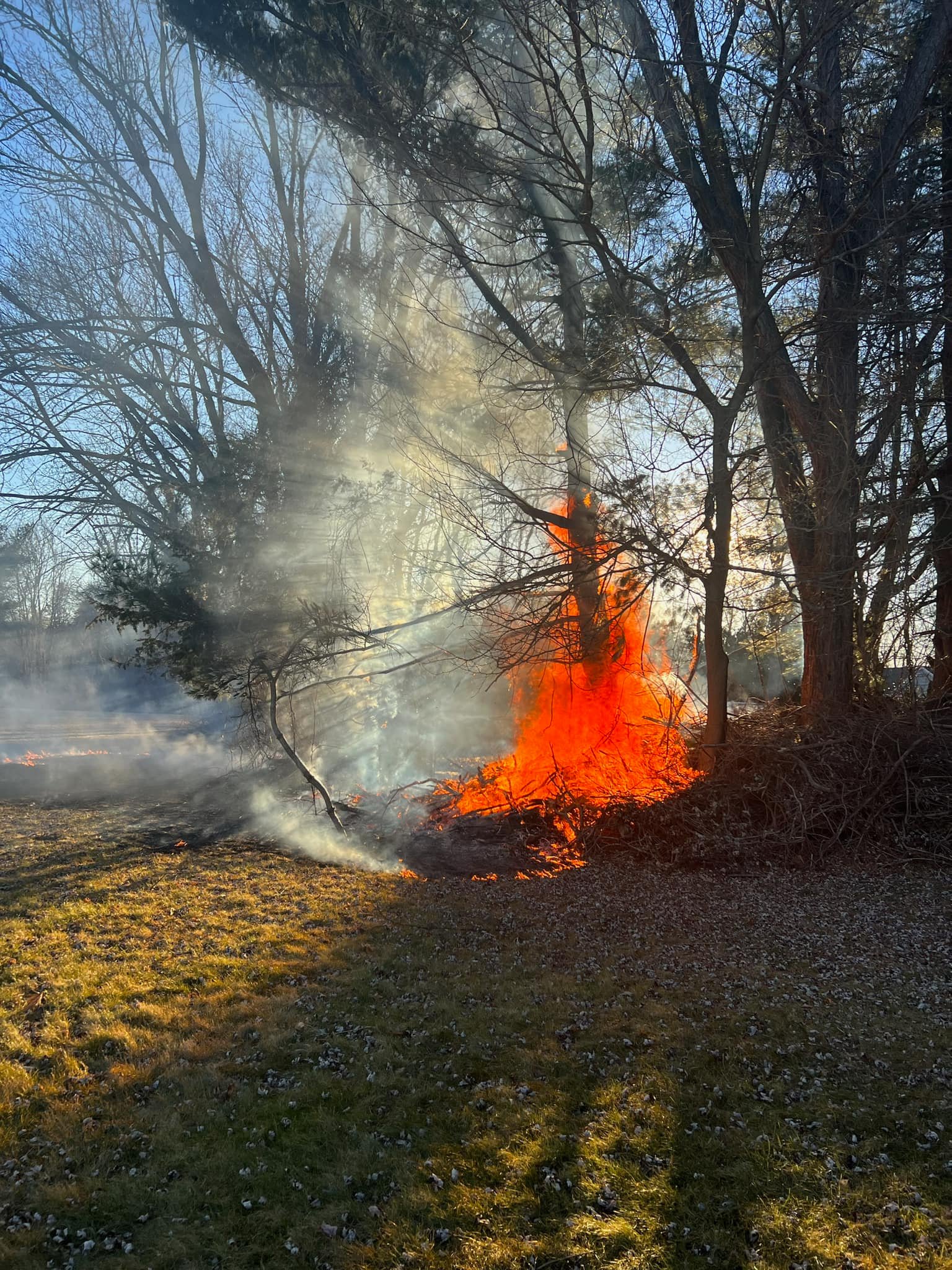 Fire20230214BrushFire1